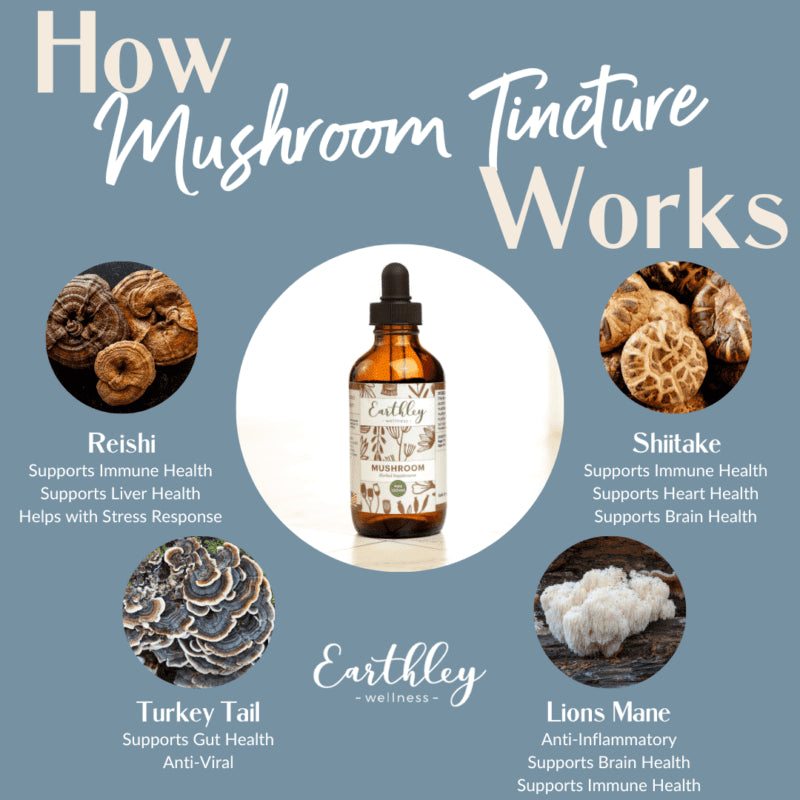 Earthley Mushroom Tincture