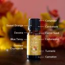 Plant Therapy Autumn Blooms Essential Oil Blend 10 mL