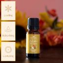 Plant Therapy Autumn Blooms Essential Oil Blend 10 mL