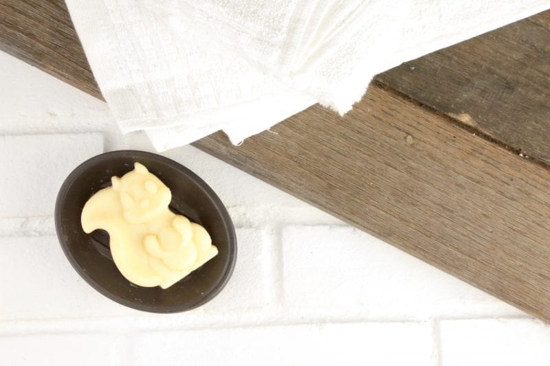 Earthley Kids' Fun-Shaped Gentle Body Soap