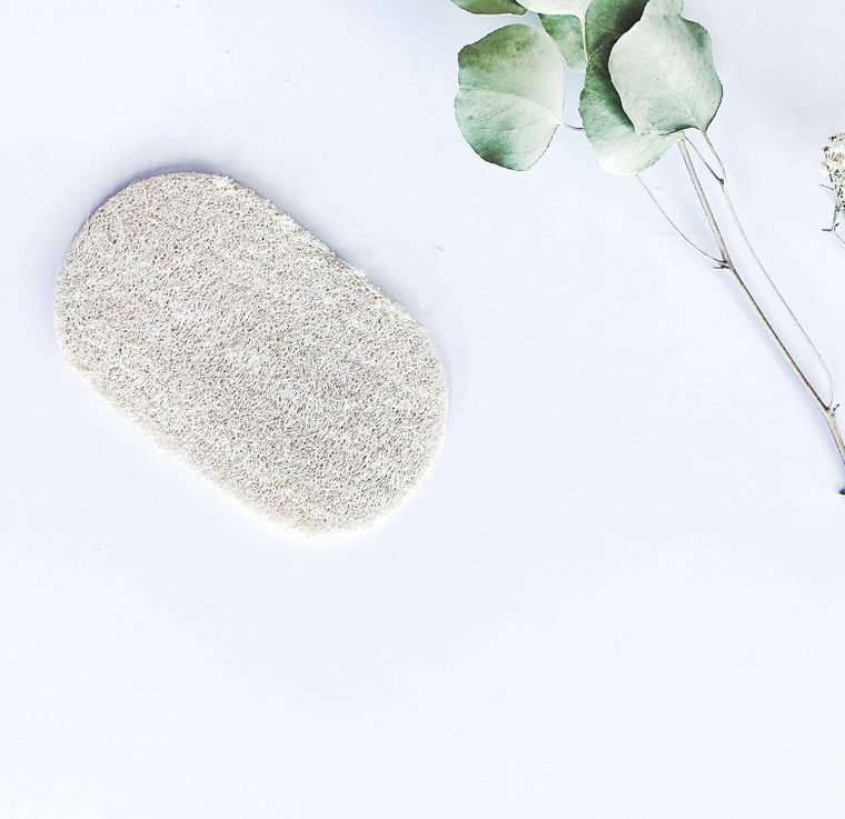 Loofah Dish Sponge: Single Layer 3-Pack