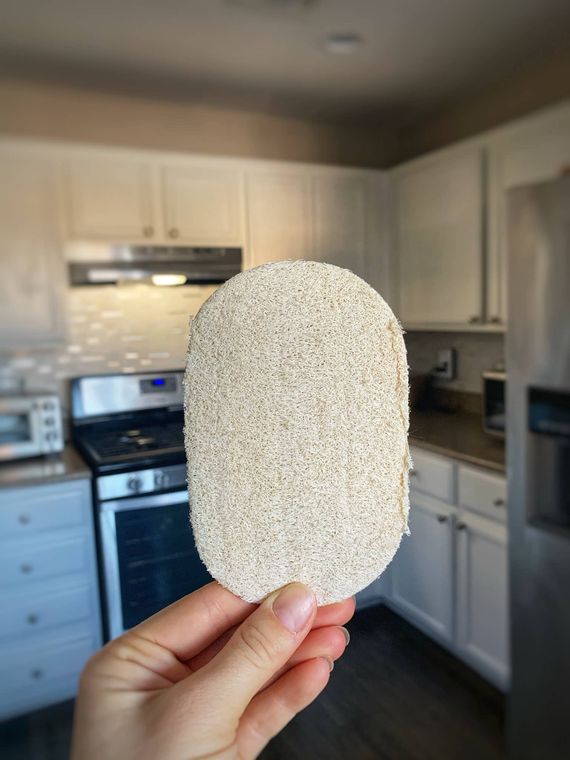 Loofah Dish Sponge: Single Layer 3-Pack