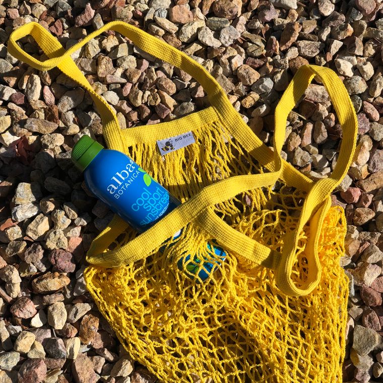 Big Bee, Little Bee Farmer's Market Cotton Mesh Bag